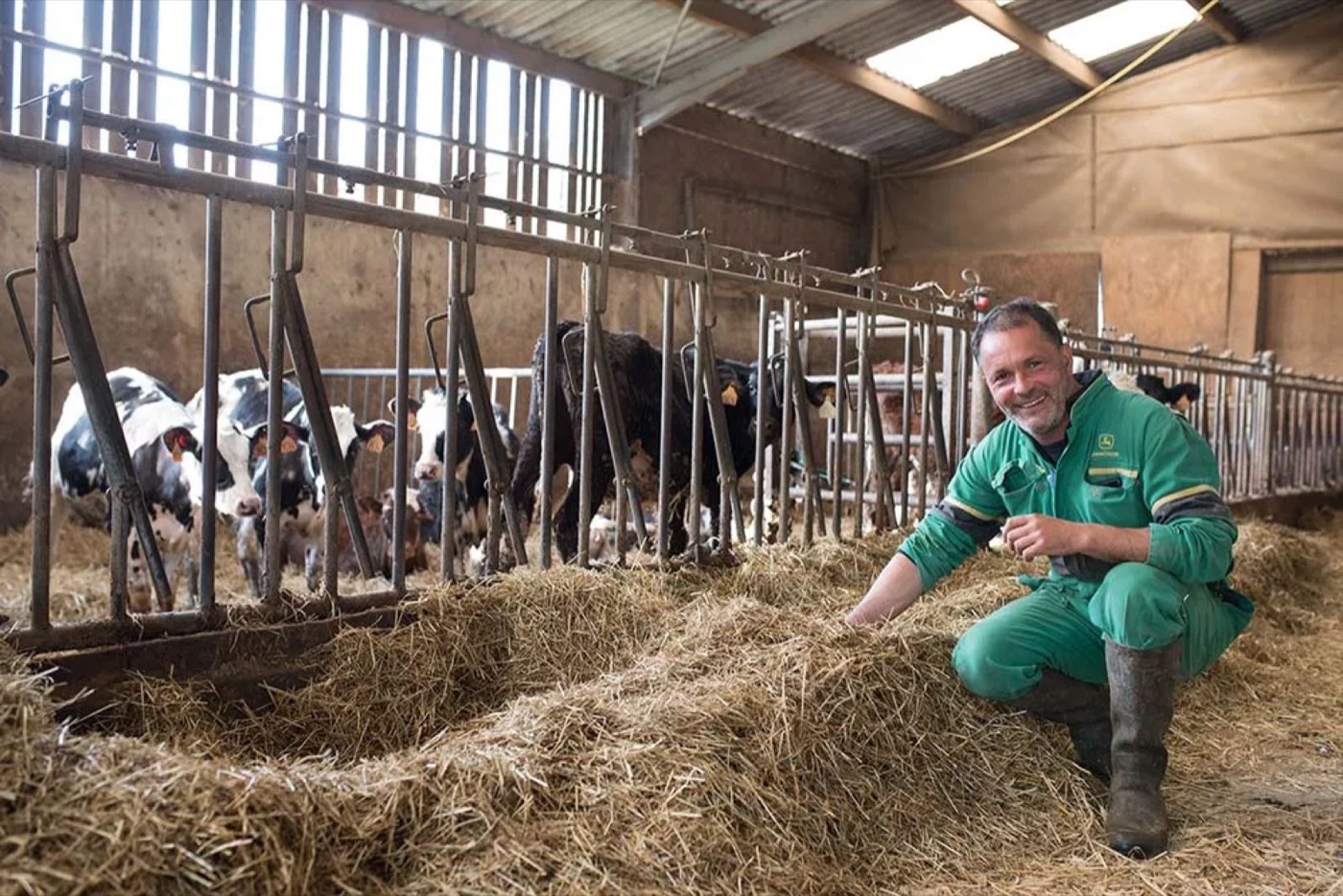 El padre de Vincent en el establo con las vacas
